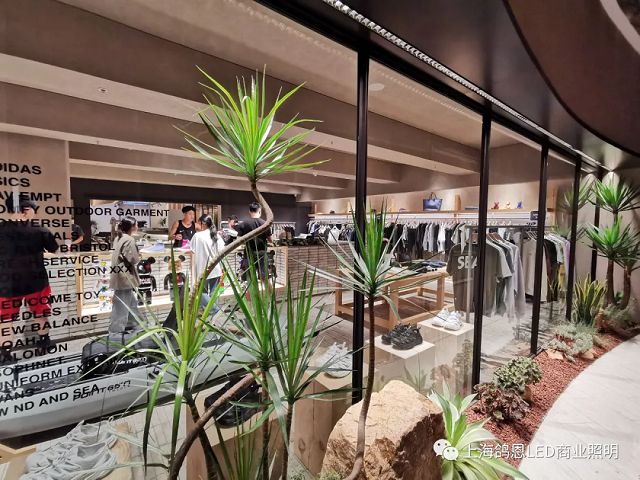 1718764190523956.png wz24061921.png